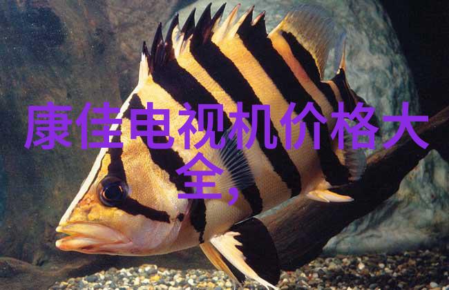 PVDF规整填料在电子工业中的应用探究