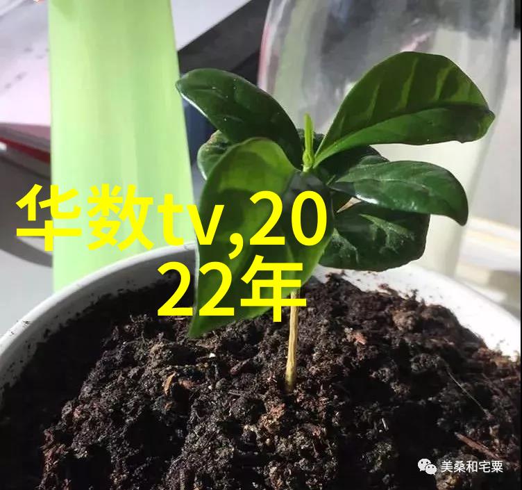 DIY派对必备工具箱各种创意项目所需的小零碎物品