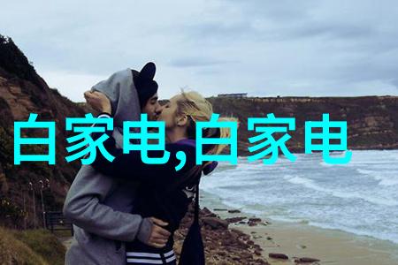 冬日暖阳温馨的换热器故事