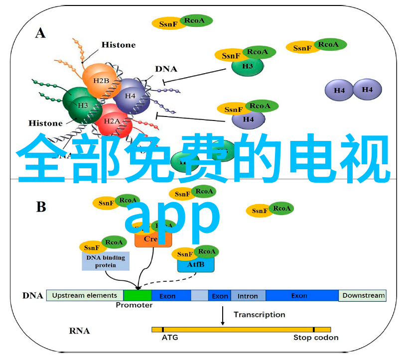 工业废气治理技术高效的工业废气处理方法
