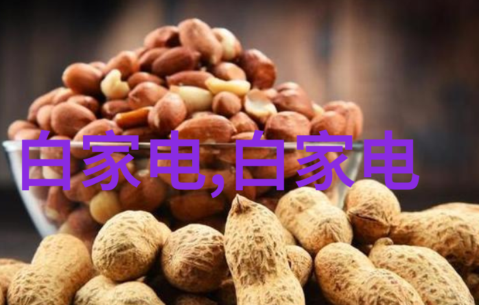 蒸腾的诗意小型电热蒸汽发生器的微观奇迹