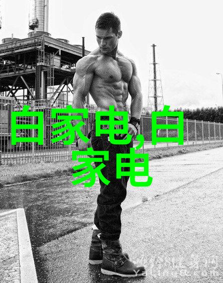 集成电路产业薪酬水平之高剖析及其对未来技术发展的潜在影响