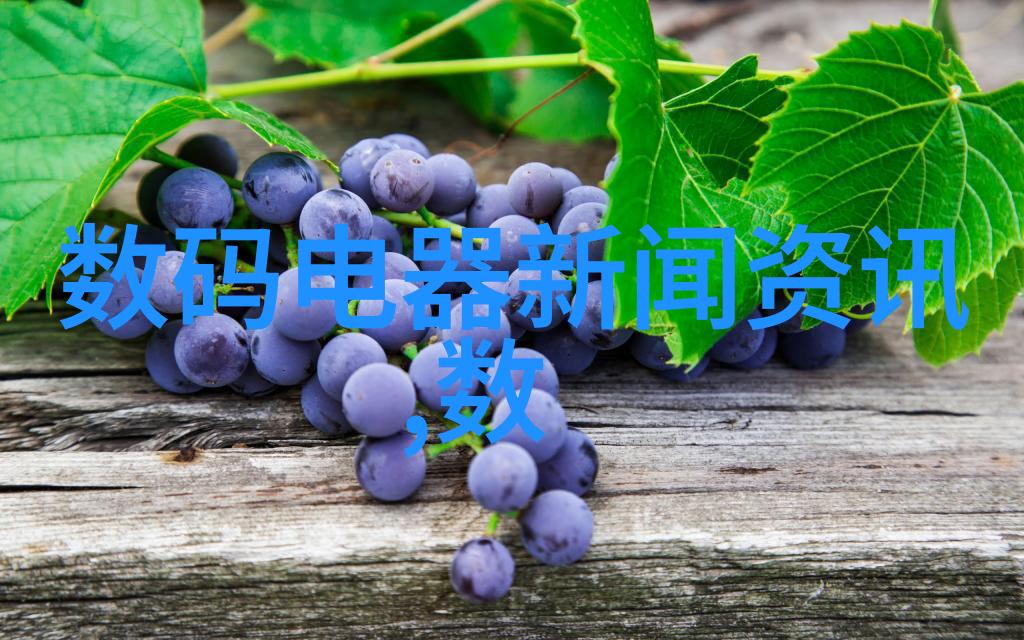 PVC管材型号及口径之谜揭开建筑工程中隐秘的选择标准