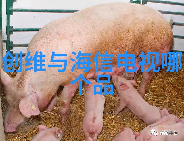 四川职业技术学院青春技艺的铸就者