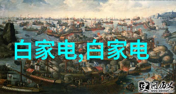如何避免在使用小型电热蒸汽发生器时产生过量水雾