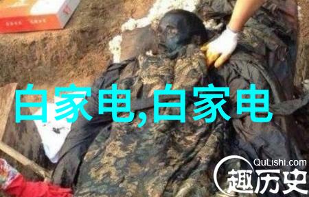 工业制冷设备冷却技术的先锋与能效之星