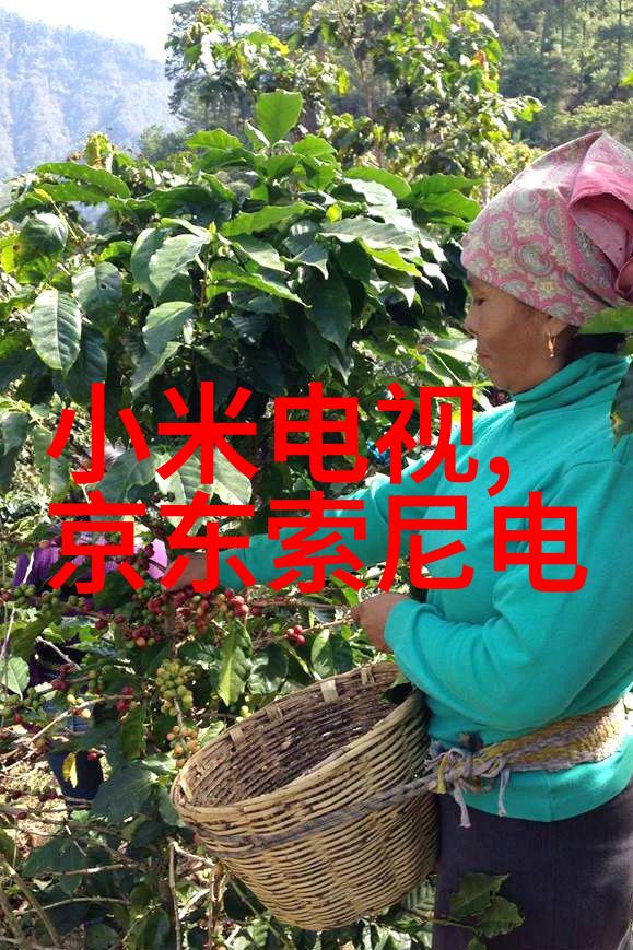 纯水设备厂家-追溯纯净纯水设备厂家的技术革新与产品选择