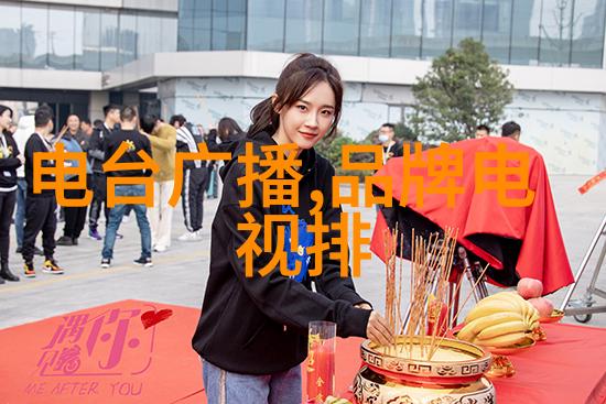 家居维修-夏季必备空调维修上门服务的便利与重要性
