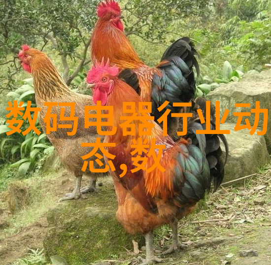 我和我的贮存设备小心你的食物不被这些神器吃掉