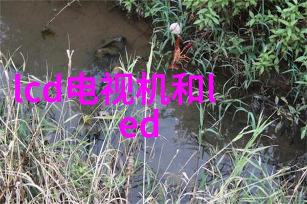 推特内部文件曝光-Twitter暗箱操作揭秘社交巨头的数据操控与内容审查机制