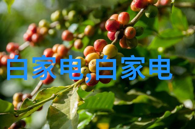粘土泥石分离机高效环保建筑材料加工设备