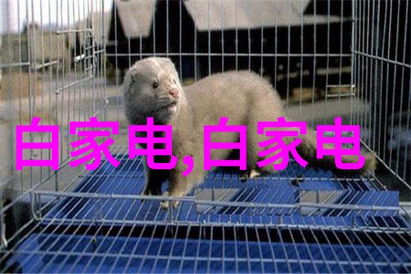 钛合金制暖气换热器