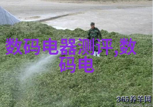 华为运动健康手表应用程序下载智能健身生活