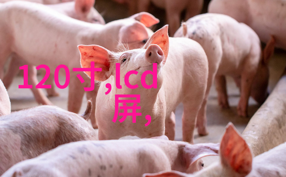 安全操作指南避免化工制冷设备事故发生