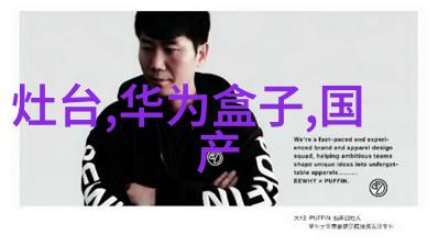 傅先生宠妻如珠似宝傅先生对妻子的深情与宠爱