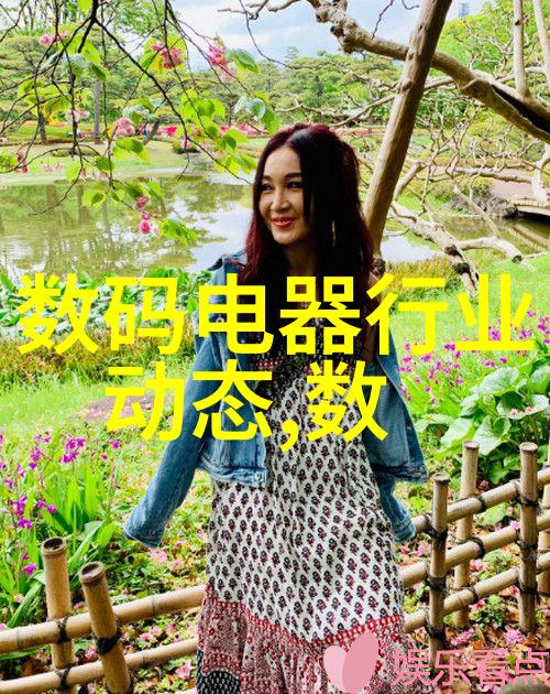 深度探究深圳市场监督管理局如何维护消费者权益的新篇章