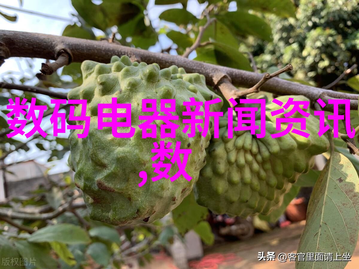 选择理想的家用净水器功能效率与价格的完美平衡