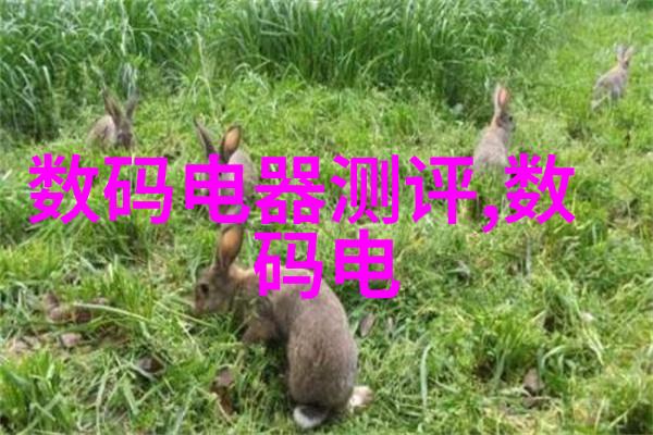 包装革新胶带机的无缝故事