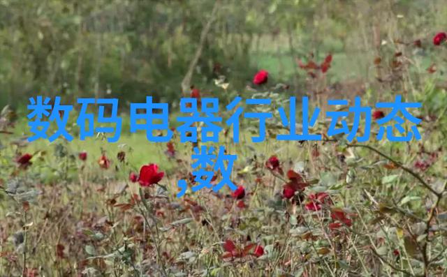 厨房带小阳台如何装修 - 融合美食与景观创意装修方案