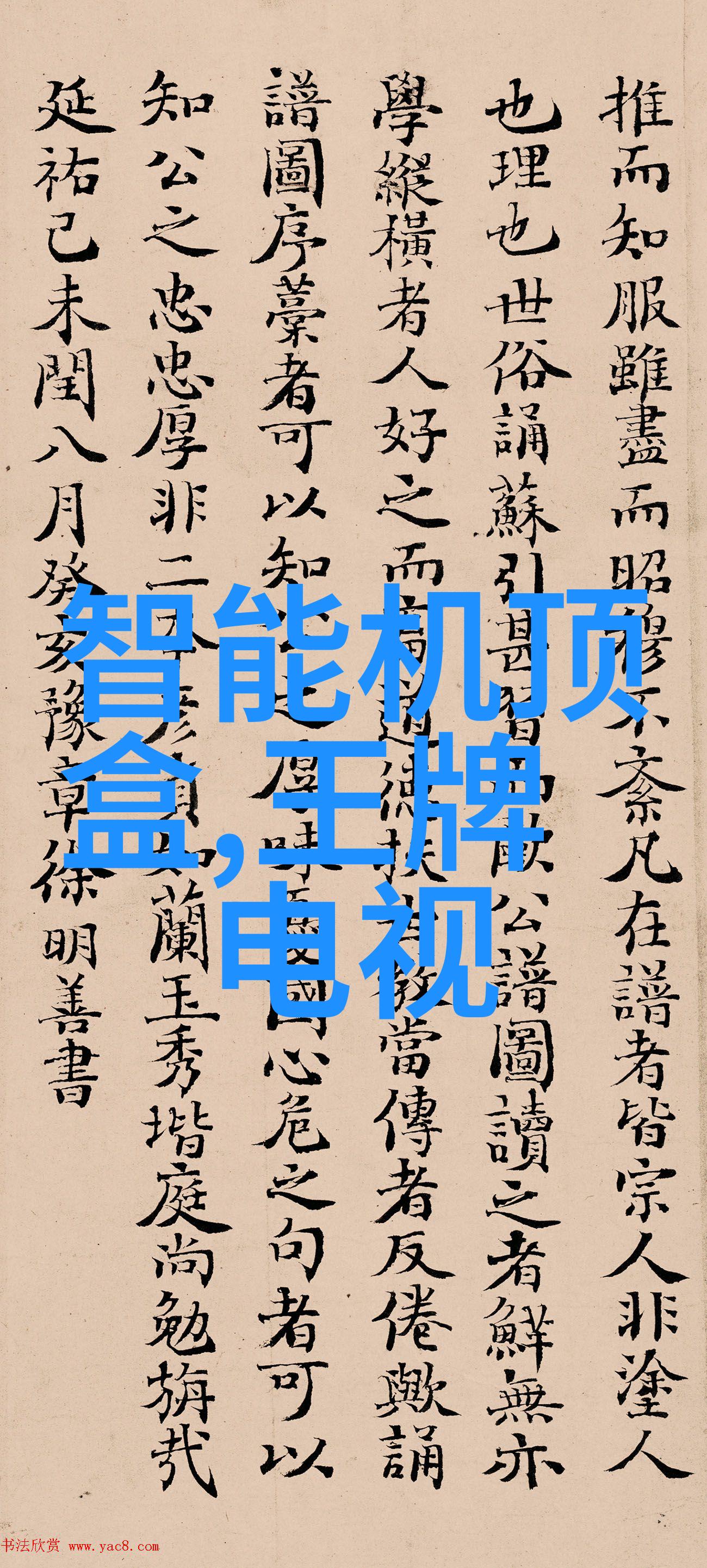 老年人拍婚纱照难