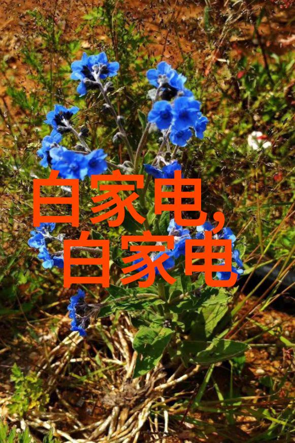 技术革新时代的必备证书什么是专业技术资格认证
