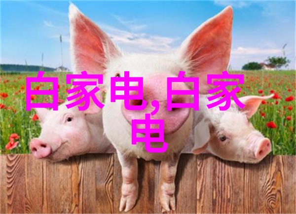 未来科技眼中的不锈钢家电产品图片展览