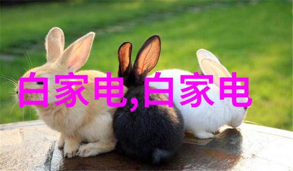 精致装饰石材优雅家居装修的选择