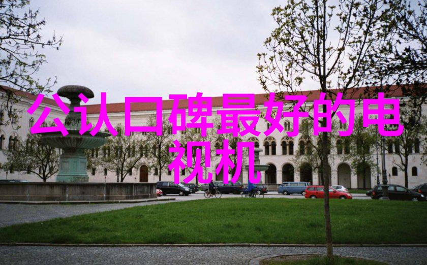 我该如何进行结论部分的书写以确保其有说服力吗