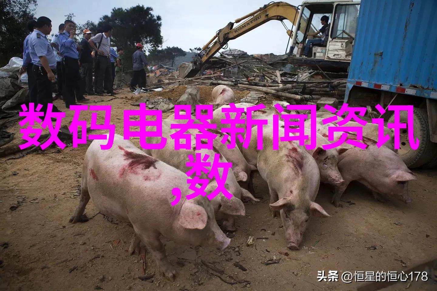 客厅装修设计效果图我的梦想空间呈现
