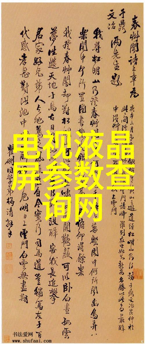 华联集团的发展历程与未来展望