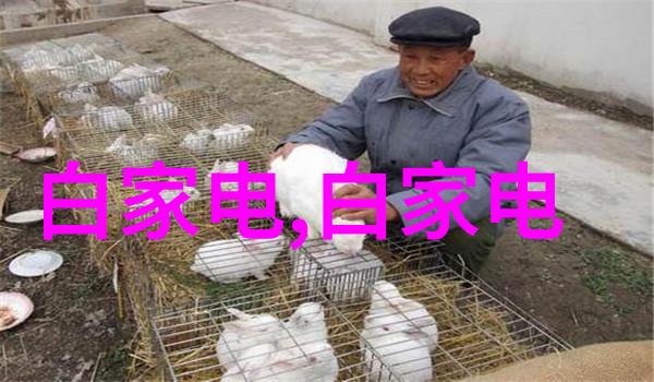 动物反应器软件解锁生物实验的智能之道