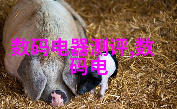 水质检测费用解析一探究竟的真相