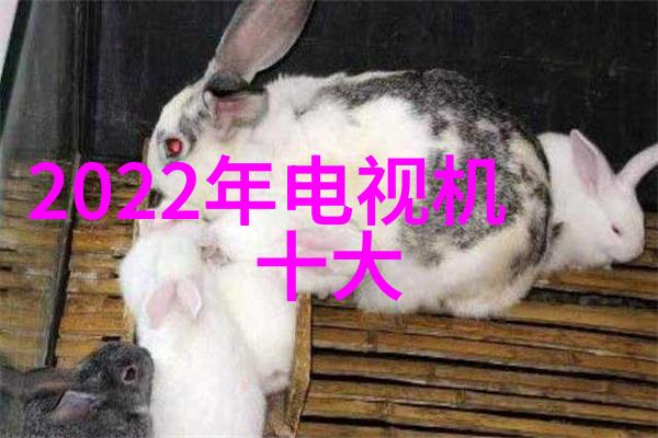 公共卫生间装修效果图展现空间再造美学之旅