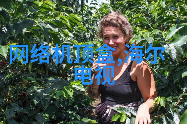 化工干燥设备的选择与应用策略