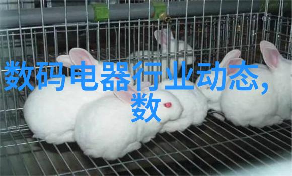 河北工业职业技术大学在推动产业升级中的作用探究