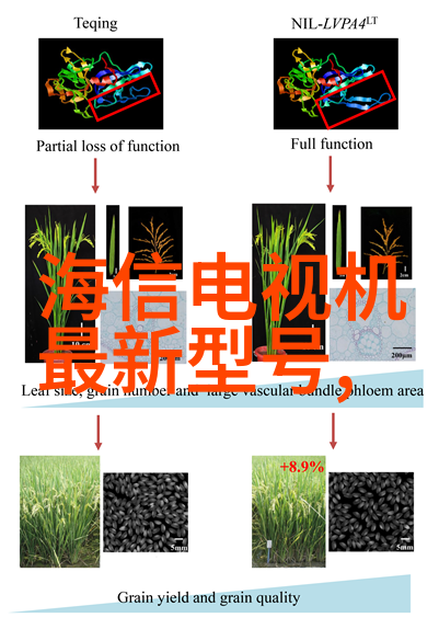磷矿石的发现与开采历史是什么