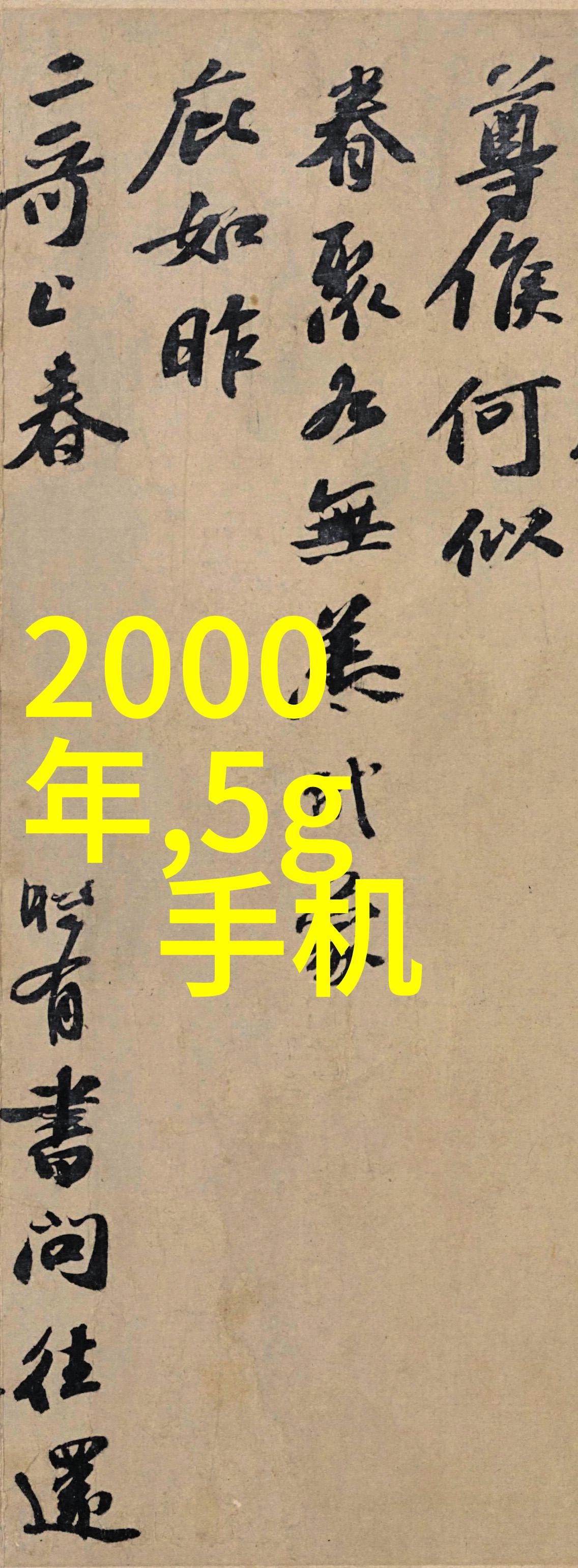 工业自动化的钢铁心脏不锈钢输送机的无缝运输革命