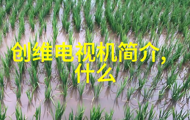 末世之光随身空间军嫂的传奇故事