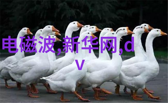 主题我要告诉你一个超级有用的网站中国专利查询系统官网