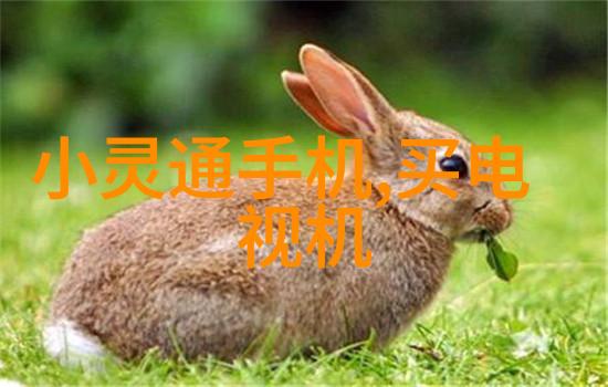 能源效率与环境影响分析探讨使用低温等离子灭菌器带来的长远益处