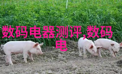 石材结晶我眼中的地表奇迹