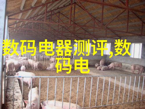 旧房改造省钱秘诀是什么