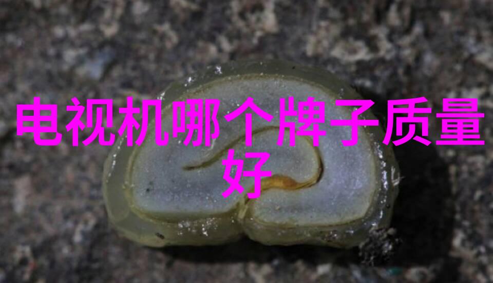 微波炉食谱时空中的烹饪艺术