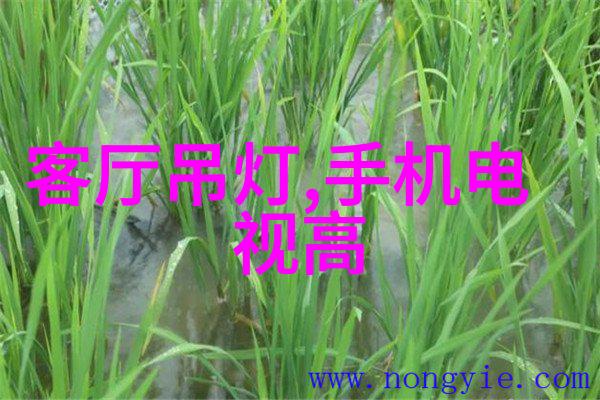 不锈钢丝网填料参数配置与应用指导