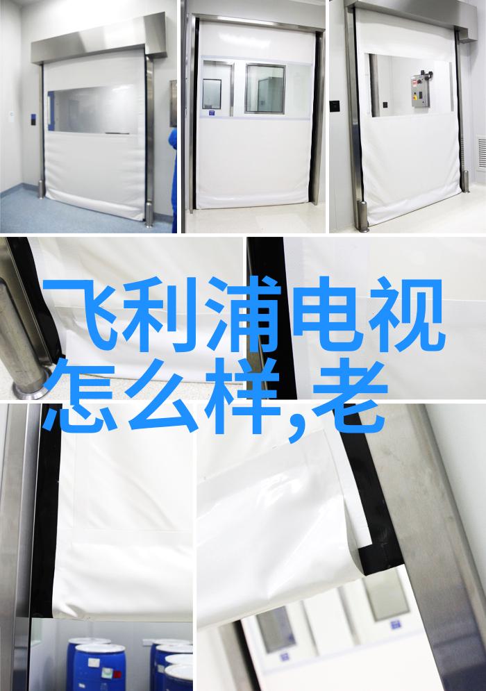 全自动蒸汽发生器我的生活小助手