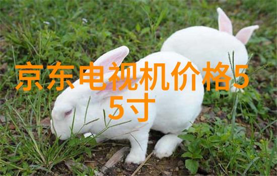 水份测定仪精确量化物质中水分的科学工具