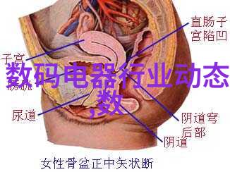 探秘情结背后的味蕾揭开草莓迷恋的神秘面纱