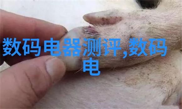 园艺艺术与功能性融合创意满满的庭院装修设计指南