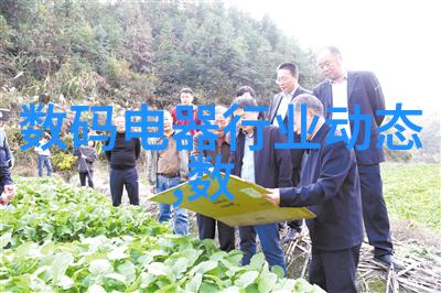 案例研究 临时供電系統設計與實施經驗分享 一个成功案例分析