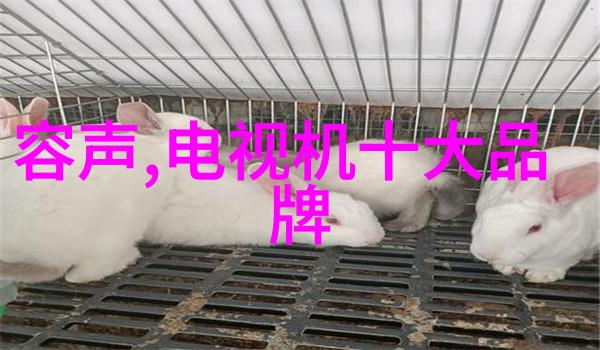我来告诉你微波炉和烤箱的区别咱们来看看